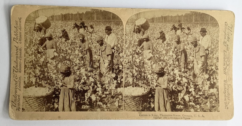 Antique Stereoview card Cotton Plantation scene Georgia USA